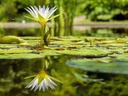 When The Future Feels Uncertain: Let Go & Find Calm