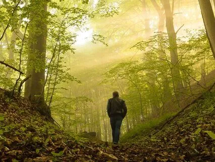 When The Mind Can't Yet Understand The 'No' Of Alignment