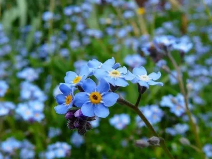 When The Mind Speeds Up - May 21