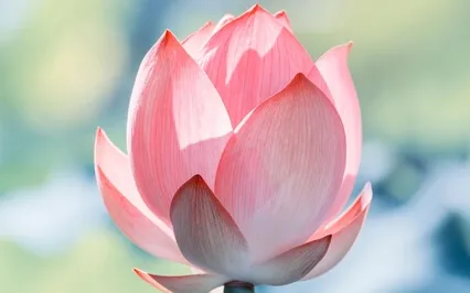 When The Mind Stays With Uncertainty, It Finds Certainty