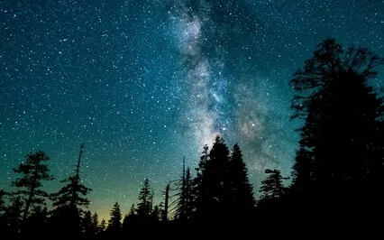 When The Moon Wanes Into The Void