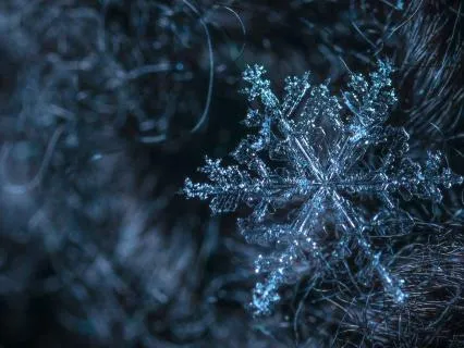 When The Snow Teaches Us To Rest