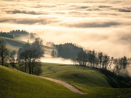 When The Tumult Of The World Leaves You Exhausted