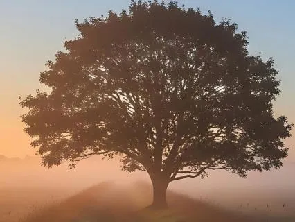 When The Veil Lifts | A Poem On Avidyā