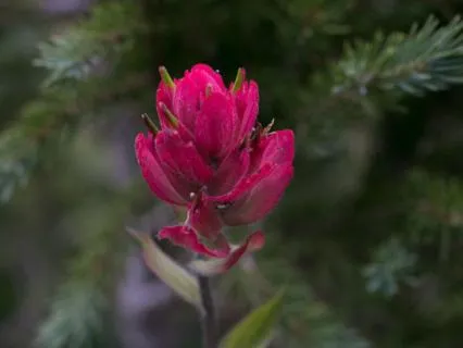 When The World Feels Like Too Much