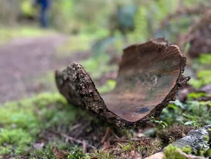 When The World Feels Loud Here’s A Pause For Quiet