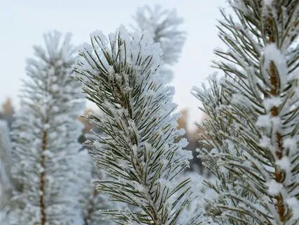 When The World Stops – And Falls Away