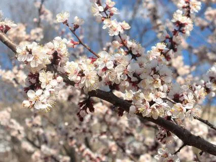 When The Wrong Path Is The Right Path - April 06