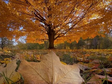 When They Leave - Part 2