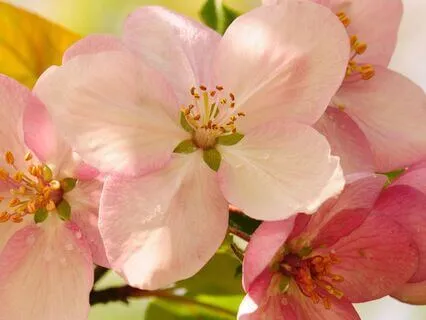 When They See Your Narcissist Parent In You