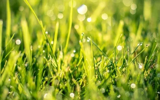 When Things Are Too Small For You: A Reflection & Poem