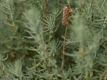 When Things Don't Work Out How We Hoped