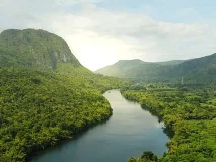 When Things Happen Automatically