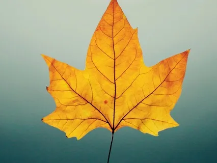 When Thoughts Create Discomfort - October 12