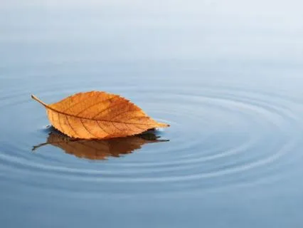 When Thoughts Feel Like Facts - A Kinder Way