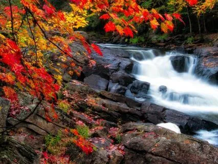 When Thoughts Won’t Stop, Let Them Pass