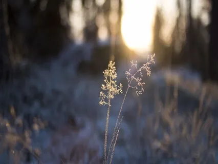 When Time Stands Still