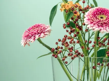 When We Discover Who We Are, We Salute Us