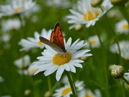 When We Understand This, Our Lives Open Up