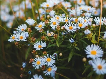 When You Are Feeling Sad (No Music)