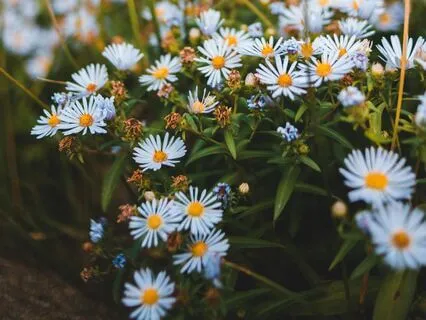 When You Are Feeling Sad