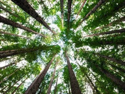 When You Are Having Trouble With Other Human Beings...