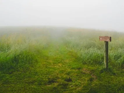 When You Can’t See The Path Anymore