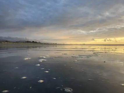 When You Can't Sit Still