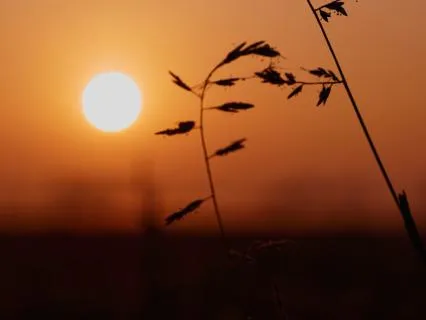 When You Don't Feel Safe In Your Body