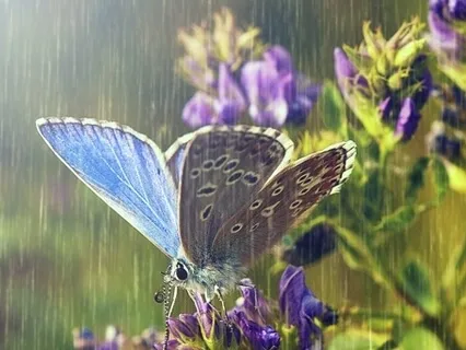 When You Don't Feel Anything In Remembrance