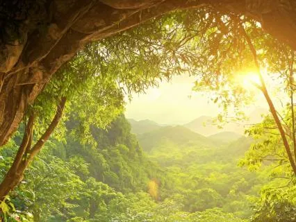 When You Feel Alone — A Meditation On Psalm 142