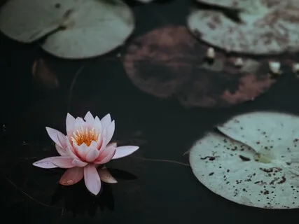 When You Feel Anxious, Do This