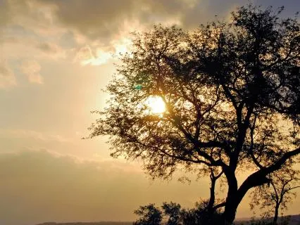 When You Feel Behind In Life - Shaltazar Pause Transmissions