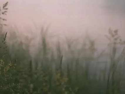 When You Feel Disconnected: Return To Your Body