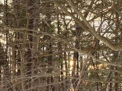 When You Feel Emotionally Overwhelmed