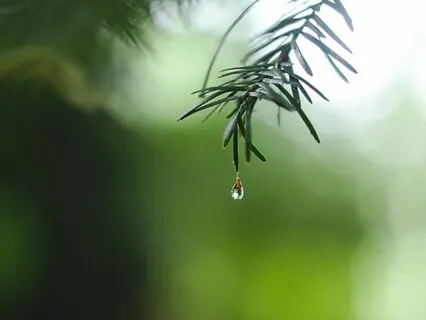 When You Feel Insecure & Anxious - Your Safe Space