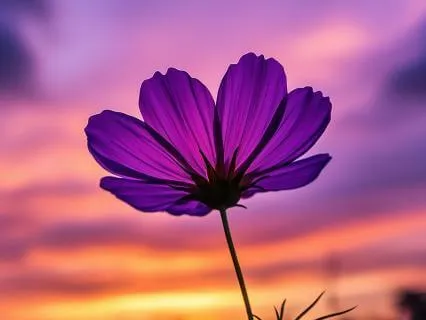 When You Feel Like Giving Up | 5 Minutes Of Inspiration