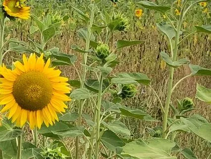 When You Feel Like You Dont Have A Purpose