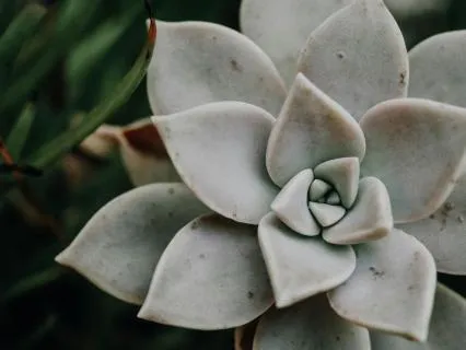 When You Feel Like You're Behind