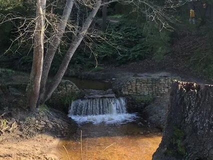 When You Feel Lost On Your Path, Follow The Signs