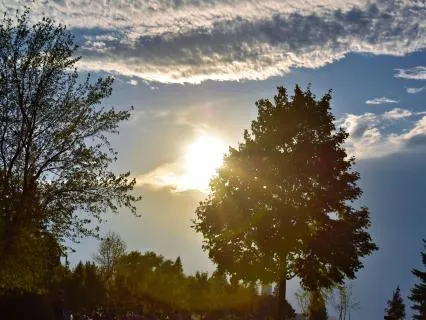 When You Feel Stuck - Shaltazar Pause Transmissions