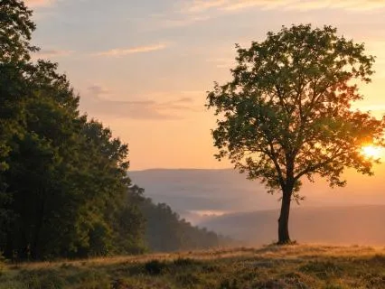 When You Feel Unseen: Meditation For Feeling Misunderstood