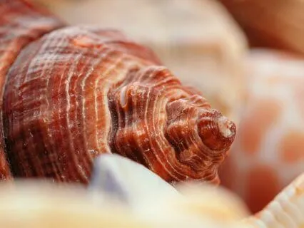 When You Feel Worse Than It Is