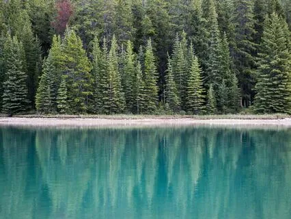 When You Feel Your Teen’s Pain