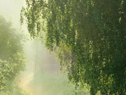 When You Have Nothing Left To Give | Morning Meditation