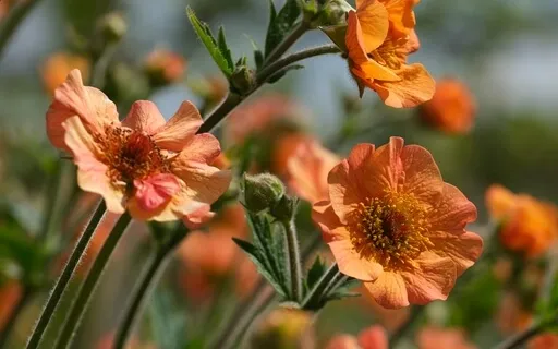 When You Have Slight Uneasiness Or Minor Misalignments