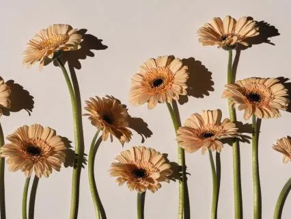 When You Minimize Yourself So Others Don't Have To Choose