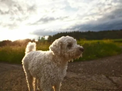 When You Need Comfort