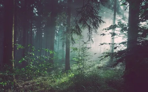 When You Need To Be Your Own Hero