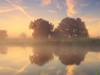 Feel Safe In Your Body When Anxiety Hits